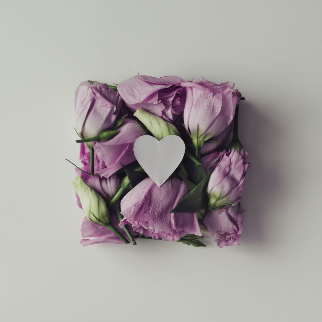 Pink flowers in shape of a gift box on bright background. Flat lay. Love concept.